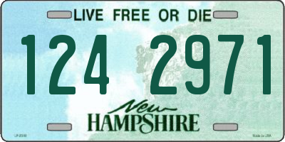 NH license plate 1242971