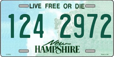 NH license plate 1242972