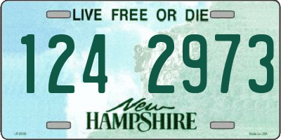 NH license plate 1242973