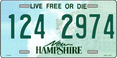 NH license plate 1242974