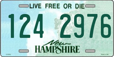NH license plate 1242976
