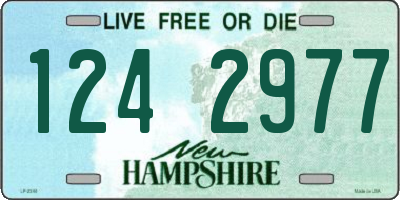 NH license plate 1242977