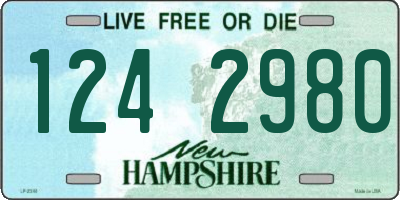 NH license plate 1242980