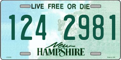 NH license plate 1242981