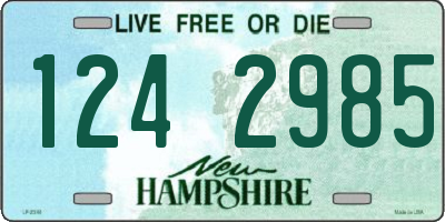 NH license plate 1242985