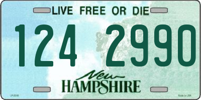 NH license plate 1242990