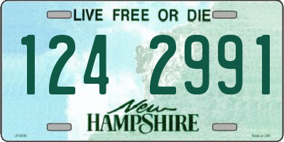 NH license plate 1242991