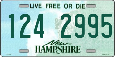 NH license plate 1242995