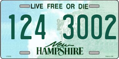 NH license plate 1243002