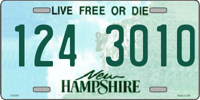 NH license plate 1243010