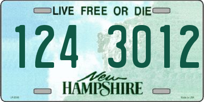 NH license plate 1243012