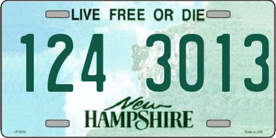 NH license plate 1243013