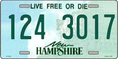 NH license plate 1243017