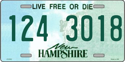 NH license plate 1243018