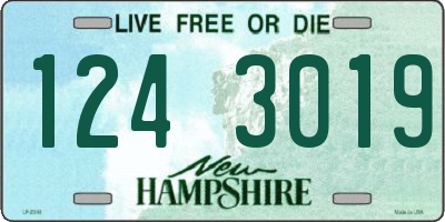 NH license plate 1243019