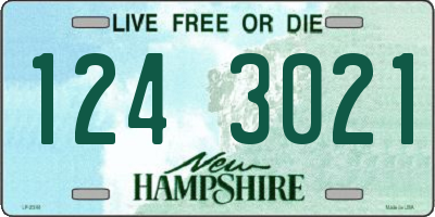 NH license plate 1243021