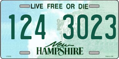 NH license plate 1243023