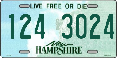 NH license plate 1243024