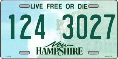 NH license plate 1243027