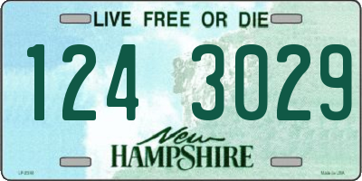 NH license plate 1243029