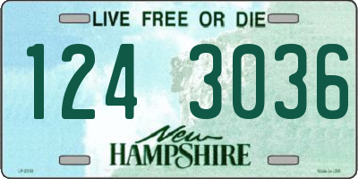 NH license plate 1243036