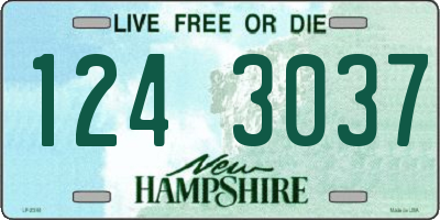 NH license plate 1243037