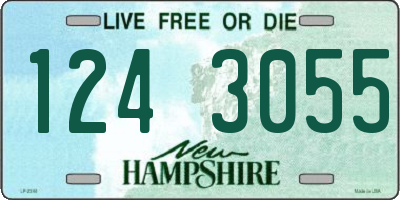 NH license plate 1243055