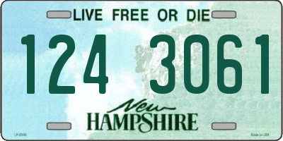 NH license plate 1243061