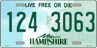 NH license plate 1243063