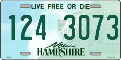 NH license plate 1243073