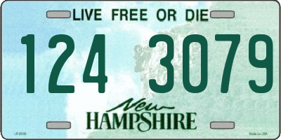 NH license plate 1243079