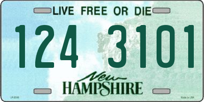 NH license plate 1243101