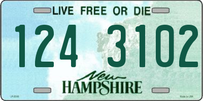 NH license plate 1243102