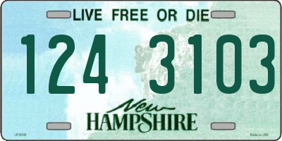 NH license plate 1243103