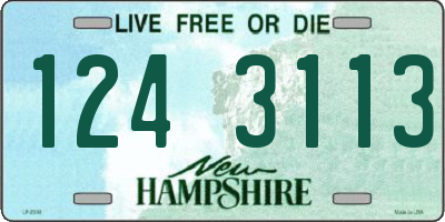NH license plate 1243113