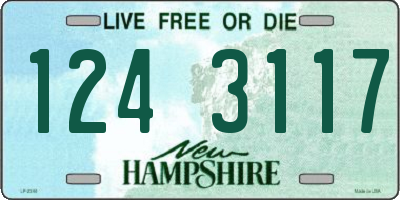 NH license plate 1243117