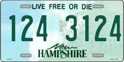 NH license plate 1243124