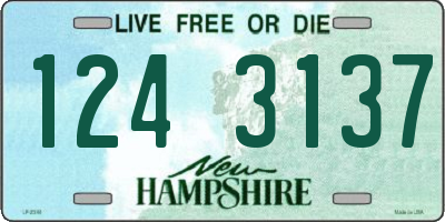 NH license plate 1243137