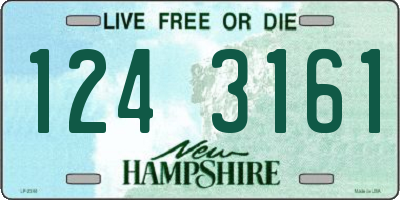 NH license plate 1243161