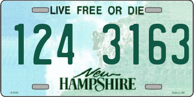 NH license plate 1243163
