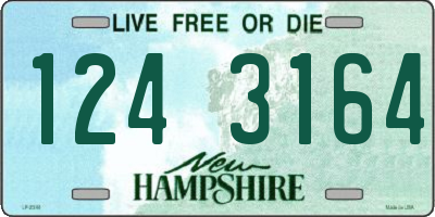 NH license plate 1243164