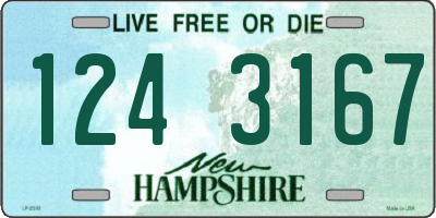 NH license plate 1243167