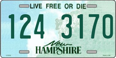 NH license plate 1243170