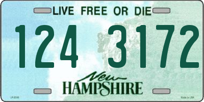 NH license plate 1243172