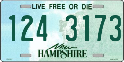 NH license plate 1243173
