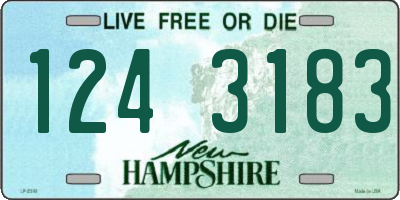 NH license plate 1243183