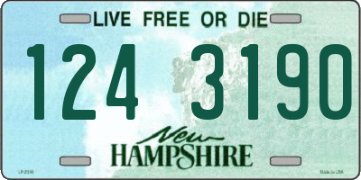 NH license plate 1243190