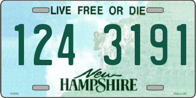 NH license plate 1243191