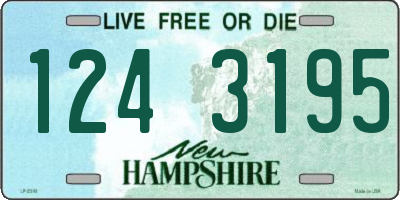 NH license plate 1243195