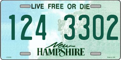 NH license plate 1243302